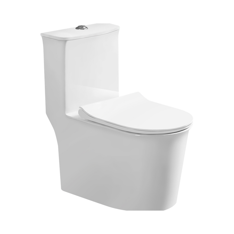 One-Piece WC Manufacturer - OEM/ODM Custom Ceramic Siphonic Dual-Flush Toilet