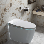 Smart Toilet Manufacturer - OEM/ODM Custom 110V Automatic Open Toilet