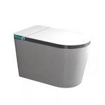 Smart Toilet Manufacturer - OEM/ODM Custom 110V Automatic Open Toilet