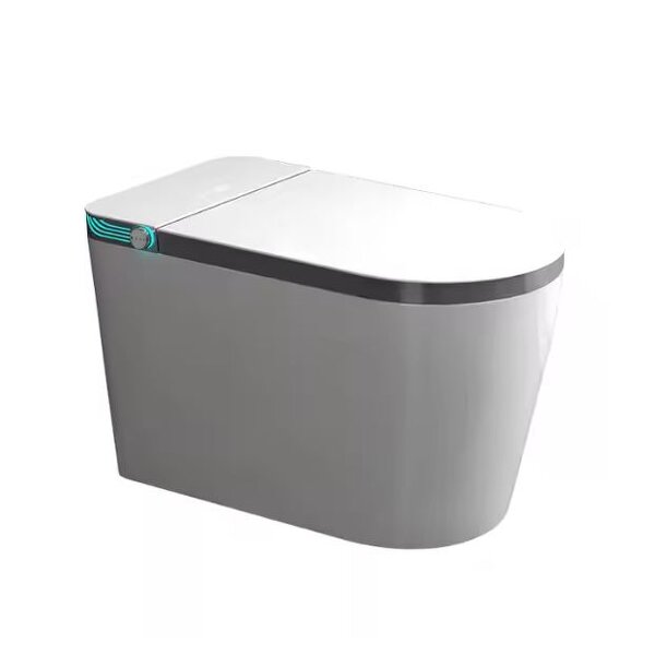 Smart Toilet Manufacturer - OEM/ODM Custom 110V Automatic Open Toilet
