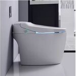 Bidet Toilet Seat Manufacturer - OEM/ODM Custom Automatic Microwave Sensing Seat