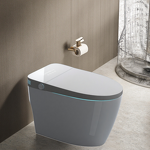 Smart Toilet Manufacturer - OEM/ODM Custom 110V Automatic Open Toilet