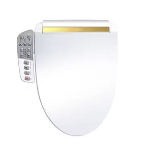 Smart Toilet Seat Manufacturer - OEM/ODM Custom Self-cleaning Heated Elongated Seat