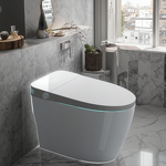 Smart Toilet Manufacturer - OEM/ODM Custom 110V Automatic Open Toilet