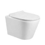 Wall Hung Toilet Manufacturer - OEM/ODM Custom European Standard Rimless WC