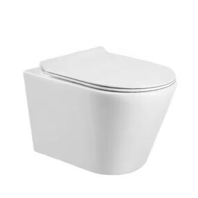 Wall Hung Toilet Manufacturer - OEM/ODM Custom European Standard Rimless WC