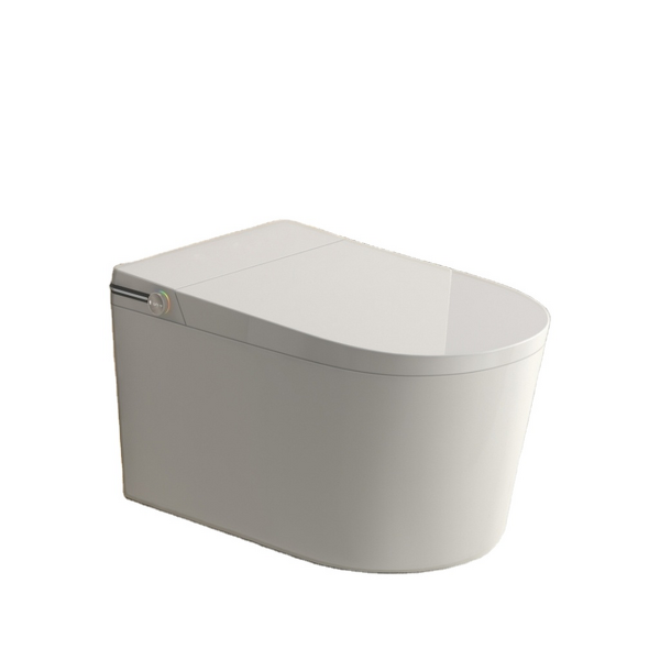 Smart Toilet Manufacturer - OEM/ODM Custom Floor Mounted Ceramic Water Closet