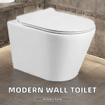 Wall Hung Toilet Manufacturer - OEM/ODM Custom European Standard Rimless WC