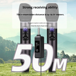 Wireless Microphone Manufacturer - OEM/ODM Stage Noise Cancelling Karaoke Mic