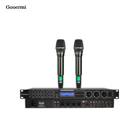 DSP Audio Processor Manufacturer - OEM/ODM Feedback Suppressor with Microphone