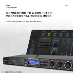 DSP Audio Processor Manufacturer - OEM/ODM Feedback Suppressor with Microphone