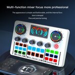 Live Sound Card Manufacturer - OEM/ODM Home KTV Voice Changer Audio Mixer