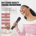 Wireless Microphone Manufacturer - OEM/ODM Dual Channel Plug&Play Handheld Mic