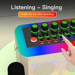 Karaoke Machine Manufacturer - OEM/ODM BT RGB Sound Card with Microphones