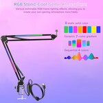 Microphone Arm Manufacturer - OEM/ODM RGB Desk Mount Clamp Folding Boom Arm
