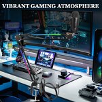 Microphone Arm Manufacturer - OEM/ODM RGB Desk Mount Clamp Folding Boom Arm