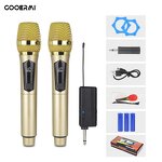 Wireless Microphone System Manufacturer - OEM/ODM Dual Karaoke Dynamic Mic System