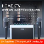 Portable Audio Sound Card Manufacturer - OEM/ODM All-In-One KTV Machine Speaker