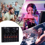 Condenser Microphone Manufacturer - OEM/ODM Professional Studio Table Microphone