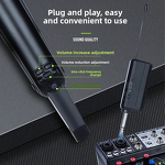 Wireless Microphone Manufacturer - OEM/ODM Portable Performance-Grade Karaoke Mic