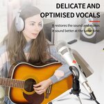 Condenser Microphone Manufacturer - OEM/ODM Metal Condenser KTV Cardioid Wired Mic