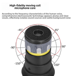 Wireless Microphone Manufacturer - OEM/ODM Live Broadcast Cardioid KTV Mic