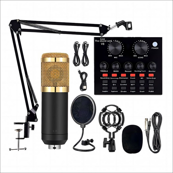 Condenser Microphone Set Manufacturer - OEM/ODM Plastic BM800 Studio Mic Set