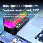 Portable Speaker Manufacturer - OEM/ODM RGB Lighting Wireless Microphone Speaker