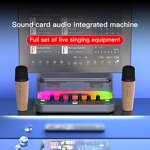 Desktop Microphone Kit Manufacturer - OEM/ODM 2 in 1 Sound Card Speaker Set