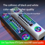 Karaoke Sound Card Manufacturer - OEM/ODM Mini Music HIFI Speaker Mixer Set
