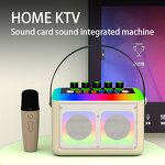 Karaoke Machine Manufacturer - OEM/ODM BT RGB Sound Card with Microphones