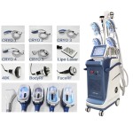 Slimming Machine Manufacturer - OEM Cryo 360 Fat Freezing 5 Handle
