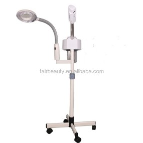 Facial Steamer Manufacturer - OEM Salon Use 2 in 1 Moisturizer Lamp