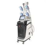 Slimming Machine Manufacturer - OEM Cryo 360 Fat Freezing 5 Handle