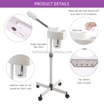 Face Vapozone Factory - OEM Personal Home Salon Spa Cleaning
