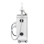 Laser Machine Manufacturer - OEM 2 in 1 808nm Diode 755nm Pico