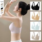 Women's Bralette Manufacturer - OEM/ODM Custom Plus Size Push up Padded Wireless Bra