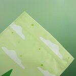 Stand up Pouch Manufacturer - OEM/ODM Custom Biodegradable Recycled Zipper Bag