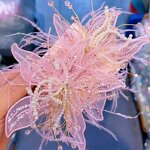 Lace Headwear Clip Factory - Custom Betty White Feather Pearl