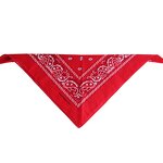 Square Scarf Manufacturer - New Polyester Flame Halloween