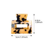 Hairpin Supplier - French Temperament Acetate Large