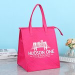 Cooler Bag Manufacturer - OEM/ODM Custom Insulated Lunch Picnic Camping Bag