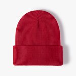 Beanie Hat Manufacturer - OEM/ODM Custom Printed Logo 3D Embroidery Hat