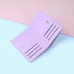 Card Holder Manufacturer - OEM/ODM Custom Ultra-Thin Multi Slots License Purse