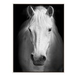 Animal Painting Manufacturer - OEM/ODM Custom Horse Canvas Transparent Wall Art