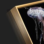 Luminous Art Manufacturer - OEM/ODM Custom Jellyfish 3D Poster Home Decoration
