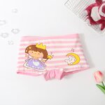 Girls Cotton Panties Supplier - Factory Wholesale 3-8 Years