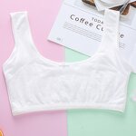 Girls Underwear Manufacturer - Spot Wholesale Cotton Development