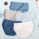 Boys Boxer Shorts Supplier - Solid Color Silk Adolescent