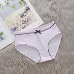 Ladies Panties Supplier - Cotton Seamless Sweet Comfort